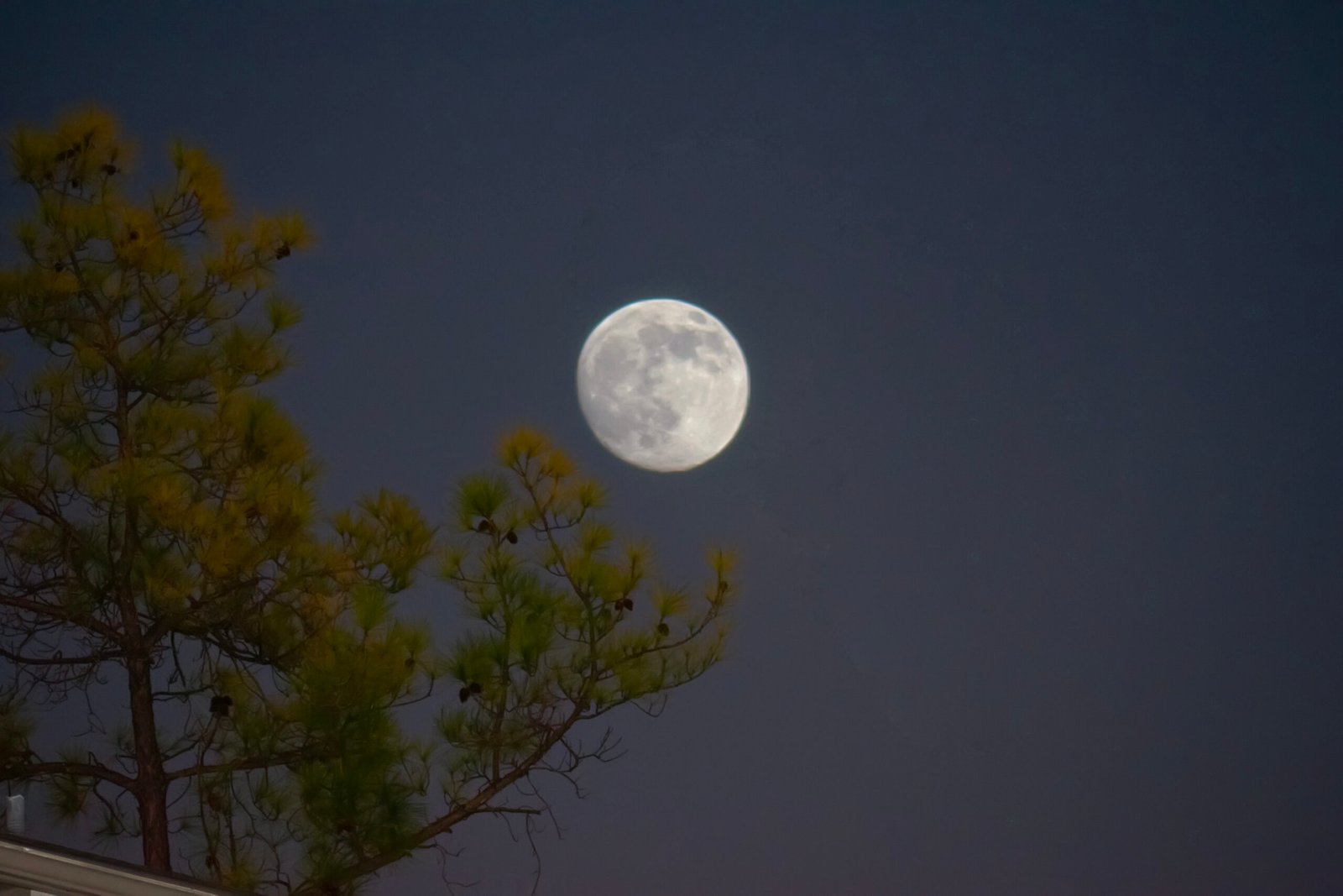LA LUNA SOBRE KATY TEXA